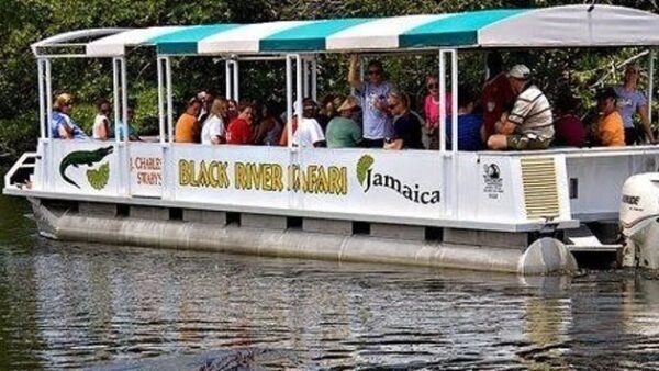 Black River Safari & Appleton Rum Factory Combo Tour Package - Image 3
