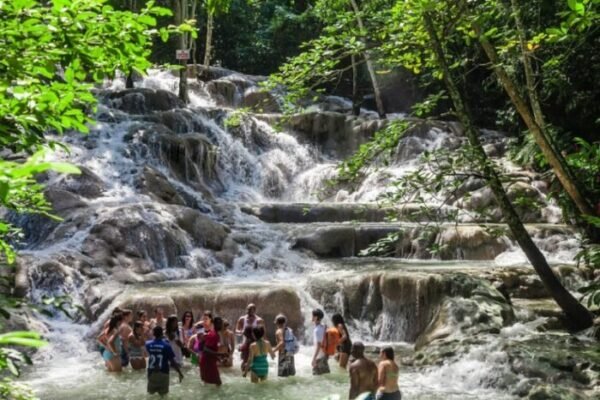 Bob Marley Nine Miles & Dunn's River Falls Combo Tour Package - Image 2