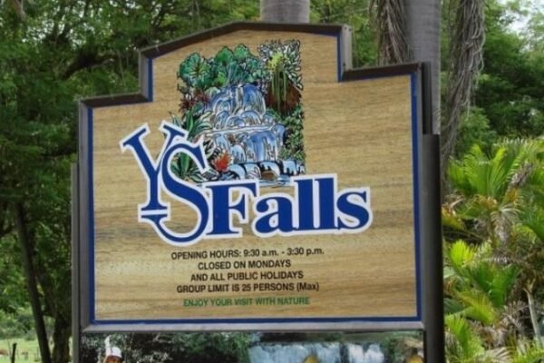 Black River Safari, YS Falls & Appleton Rum Factory Combo Tour Package - Image 2