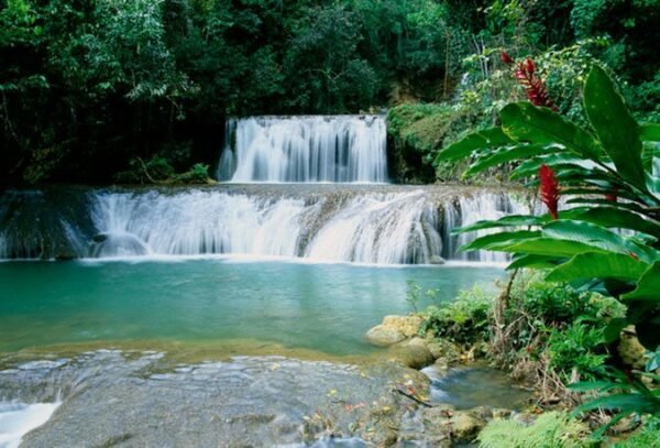 Pelican Bar, Black River Safari & Ys Falls Combo Tour Package - Image 2