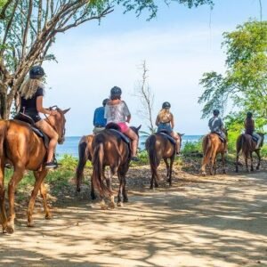 Ocho Rios Horseback Ridding