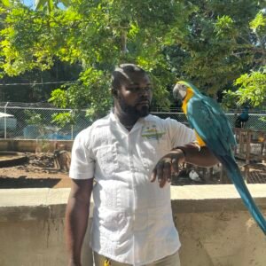 Rockland Bird  Sanctuary
